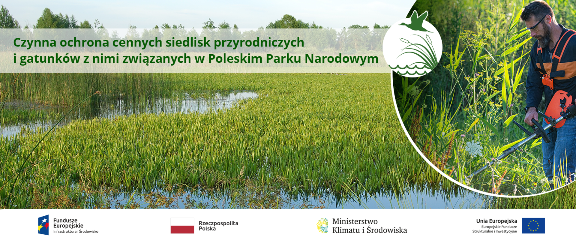 Czynna ochrona cennych siedlisk przyrodniczych i gatunków z nimi związanych w Poleskim Parku Narodowym w latach 2017-2018