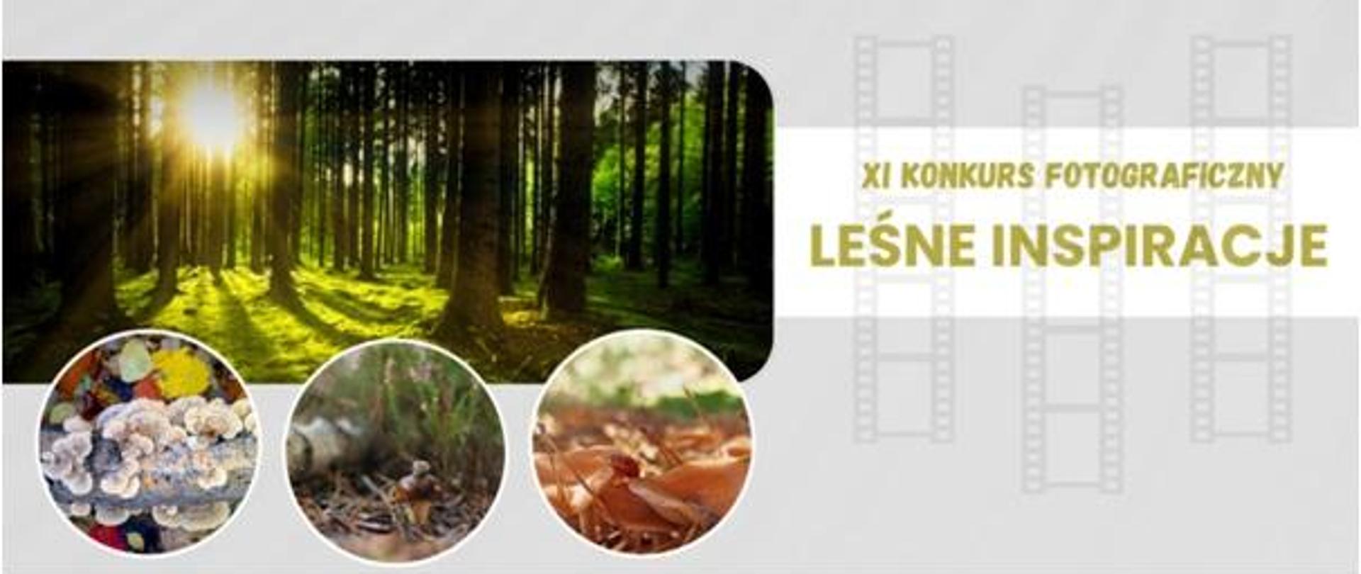 XI Konkurs Fotograficzny Leśne Inspiracje