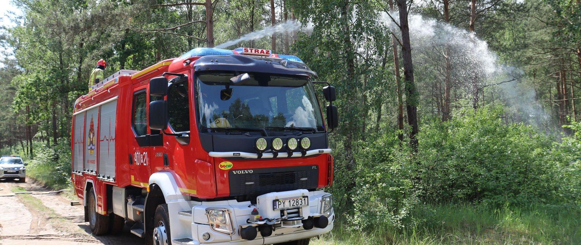 Zdjęcie przedstawia strażaków w trakcie ćwiczeń gaszenia pożarów lasów.
W tle las.

