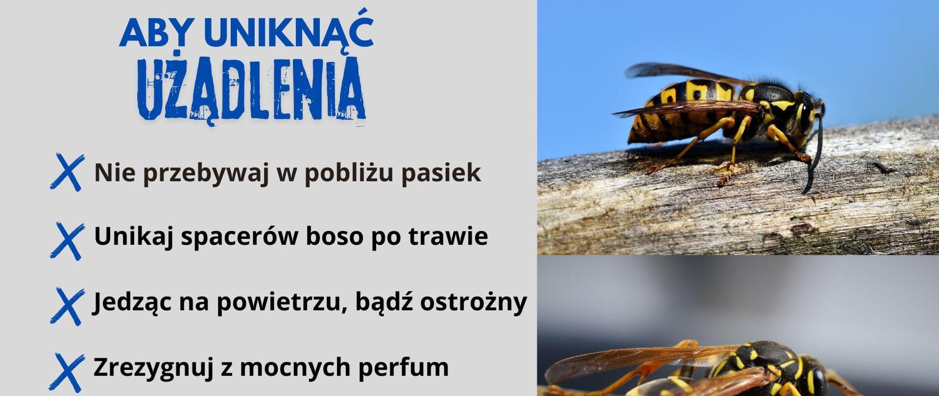 UŻĄDLENIA OWADÓW