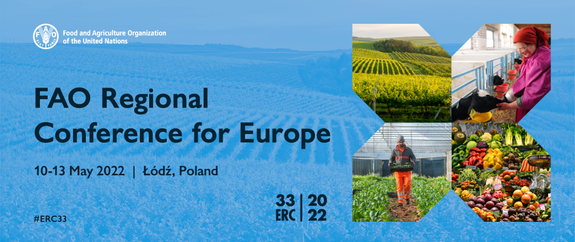 Państwa Europy i Azji Środkowej spotykają się w Polsce, aby stawić czoła wyzwaniom dotyczącym bezpieczeństwa żywności i zrównoważonych systemów rolno-spożywczych
