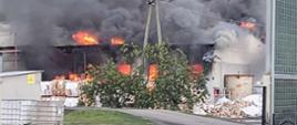 Zdjęcie przedstawia pożar budynku makulatury. Ogień i gęsty dym unosi się na budynkiem. Ponadto ogień wydostaje się przez okna i wrota. Panuje silne zadymienie. 