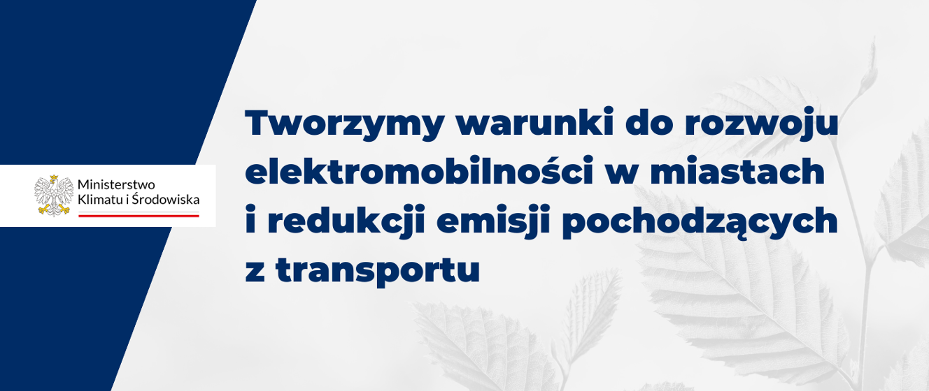 Projekt Ustawy O Zmianie Ustawy O Elektromobilności I Paliwach ...