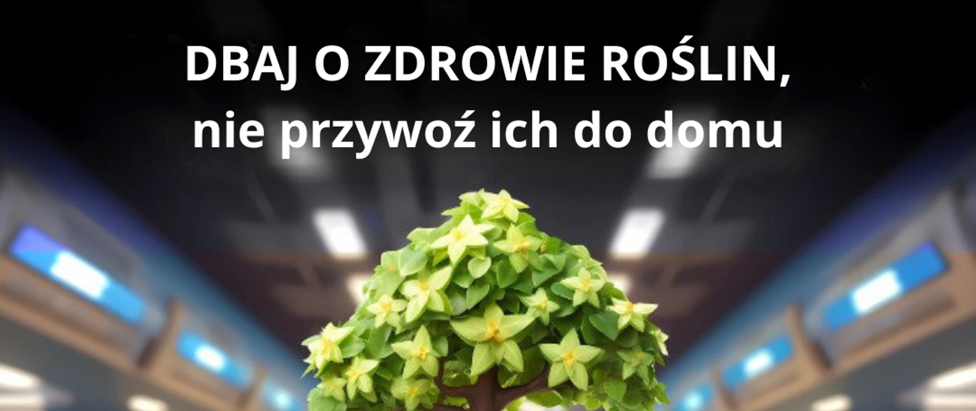 Kampania EFSA #PlantHealth4Life - „Dbaj o zdrowie roślin, chroń życie”