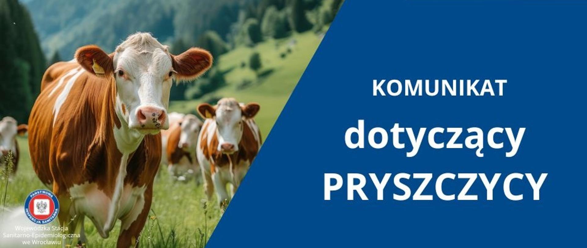 Komunikat dotyczący pryszczycy w Niemczech