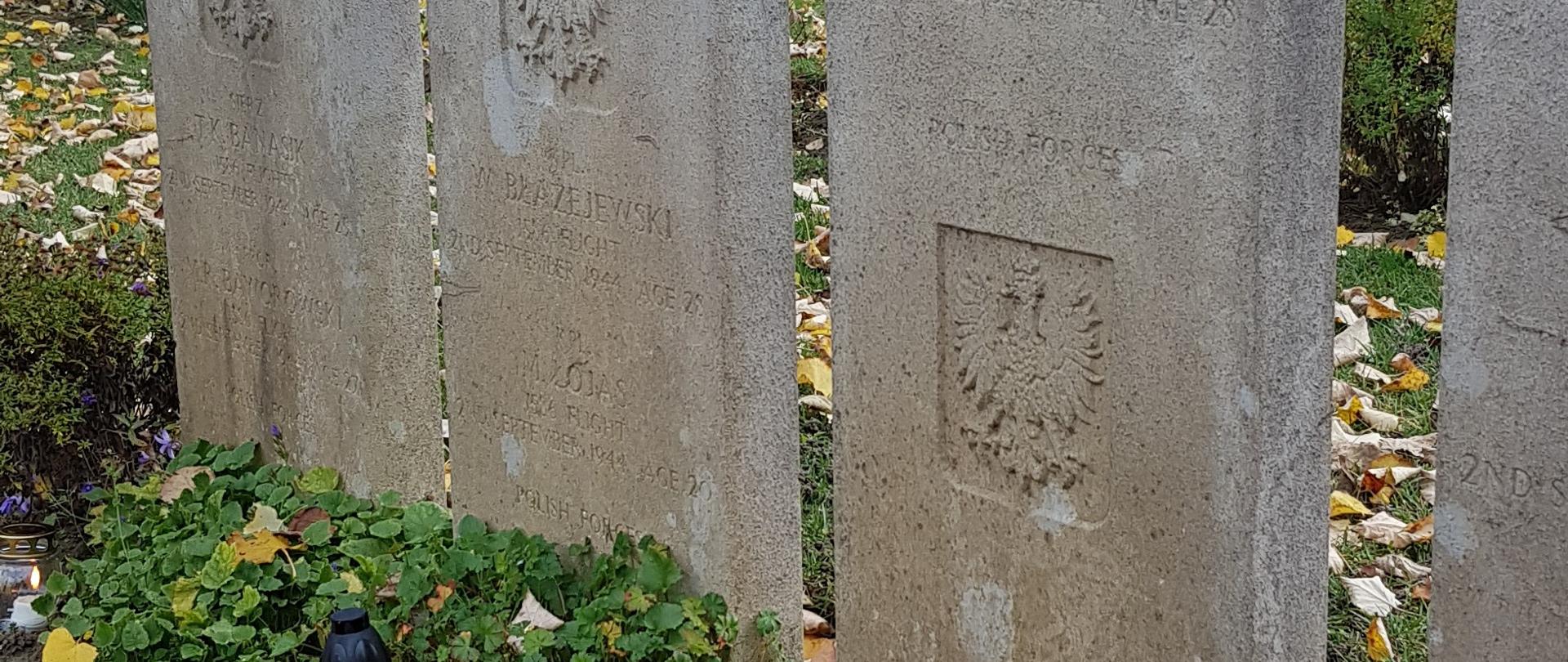 Polskie groby na Cmentarzu Wojennym Wspólnoty Brytyjskiej w Solymár