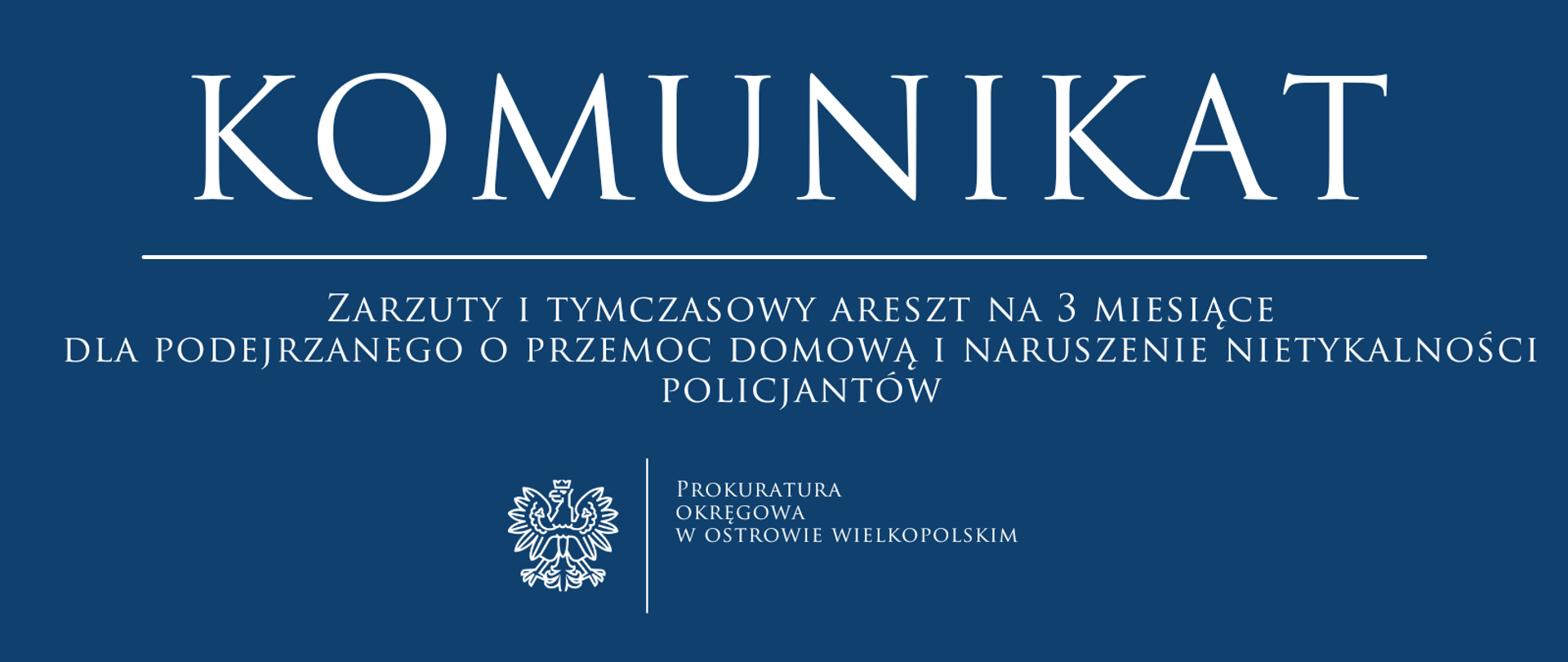 Zarzuty i tymczasowy areszt na 3 miesiące dla podejrzanego o przemoc domową i naruszenie nietykalności policjantów 