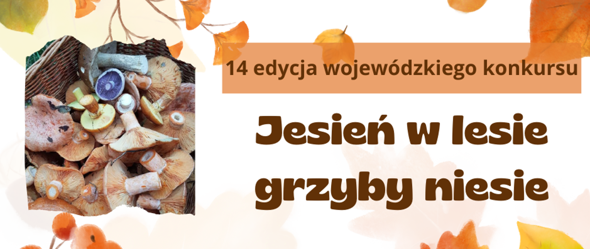 Jesień w lesie grzyby niesie