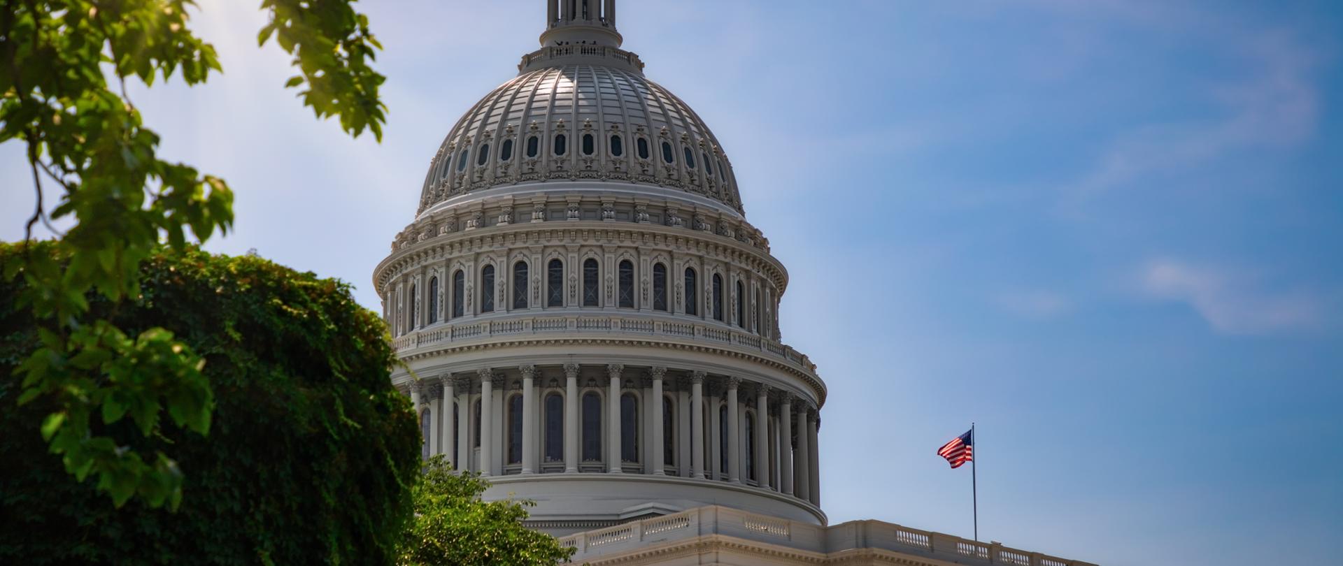 The United States Capitol Building in Washington DC on a summer day.