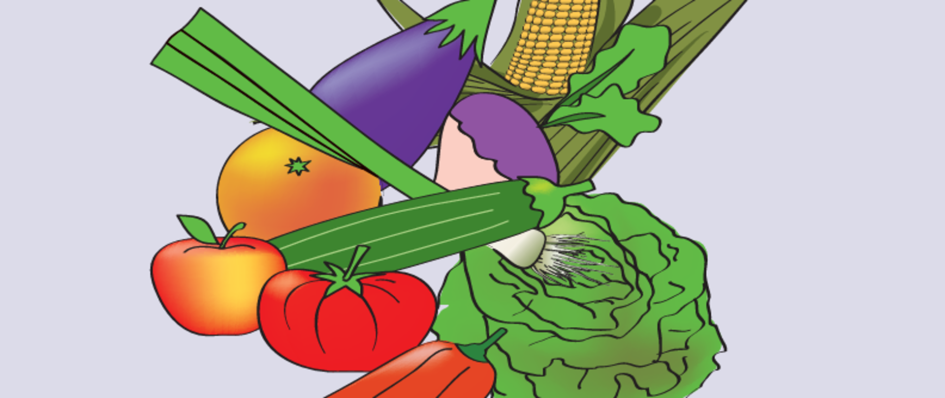 Podręcznik "Pięć kroków do bezpieczniejszej uprawy owoców i warzyw"