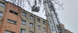 6. Ćwiczenia kazimierskich strażaków na budynkach wielorodzinnych – działania prowadzone przez ratownika z podnośnika SHD-23.