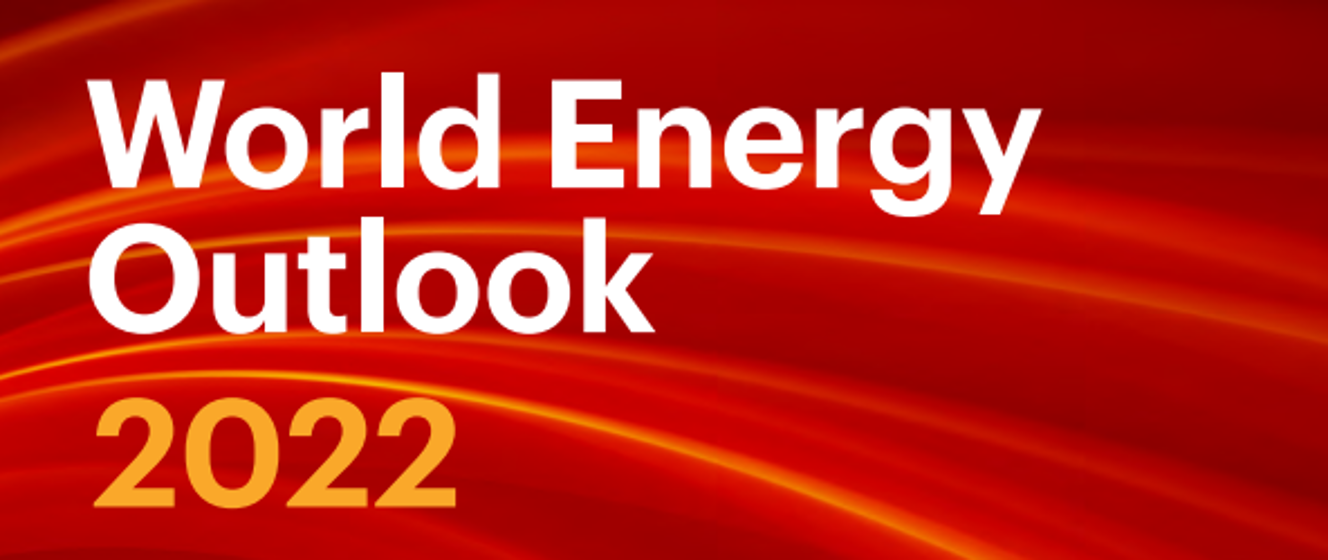 World Energy Outlook 2022 - Polska W OECD - Portal Gov.pl