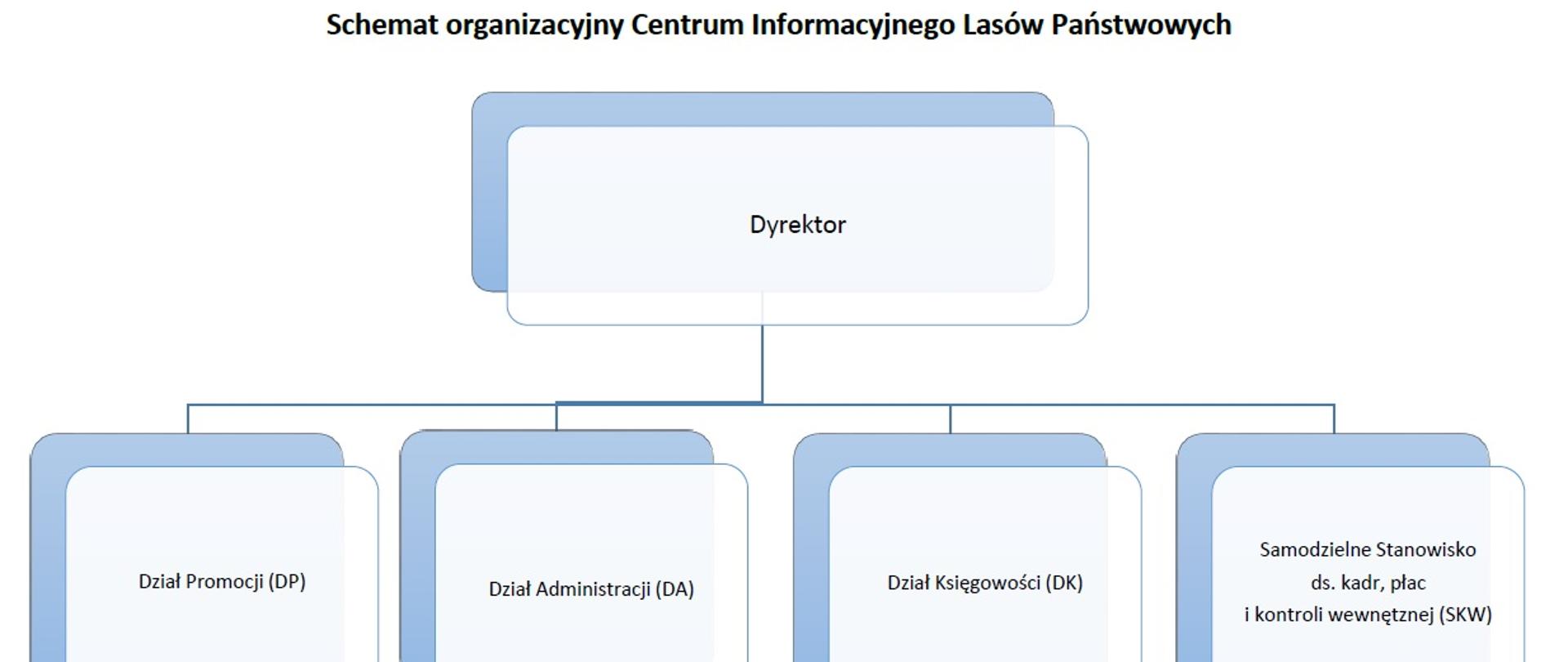 Schemat Organizacyjny CILP