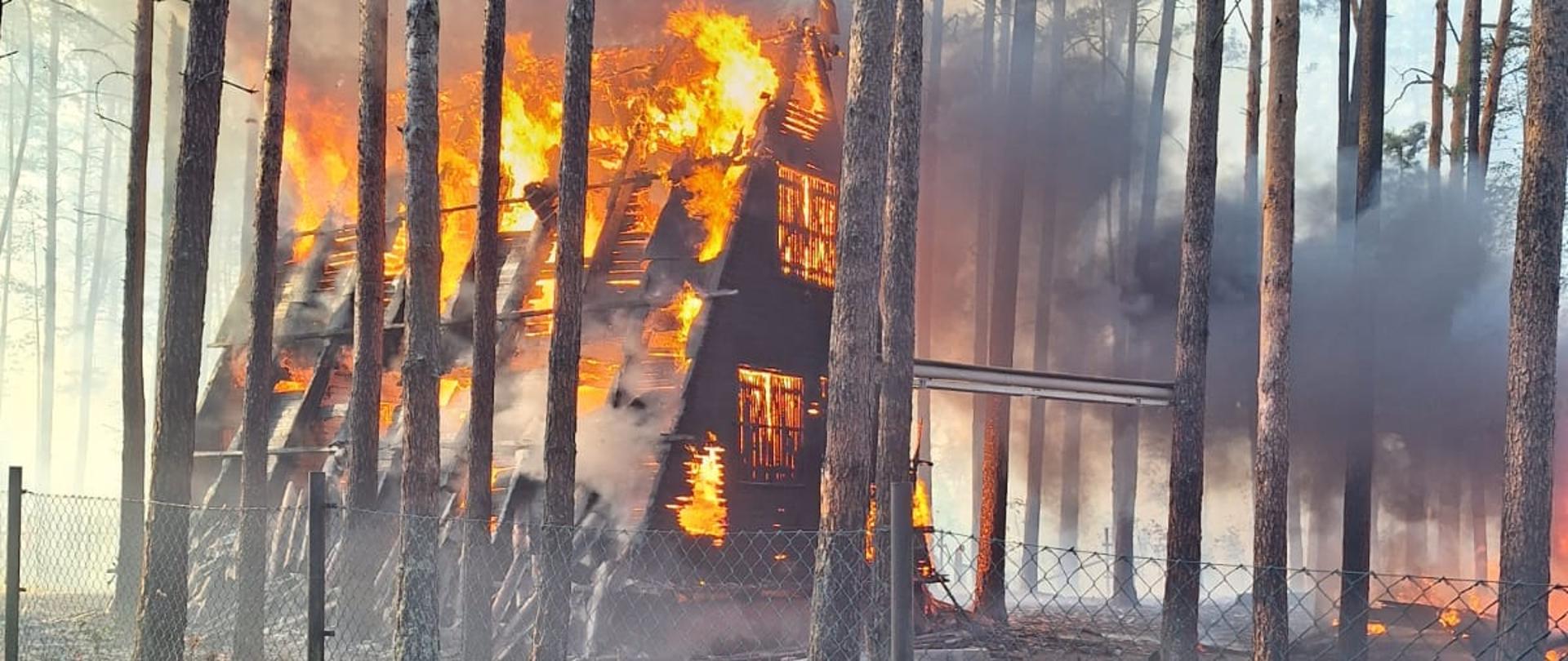Pożar domków letniskowych oraz poszycia leśnego we Wdzydzach