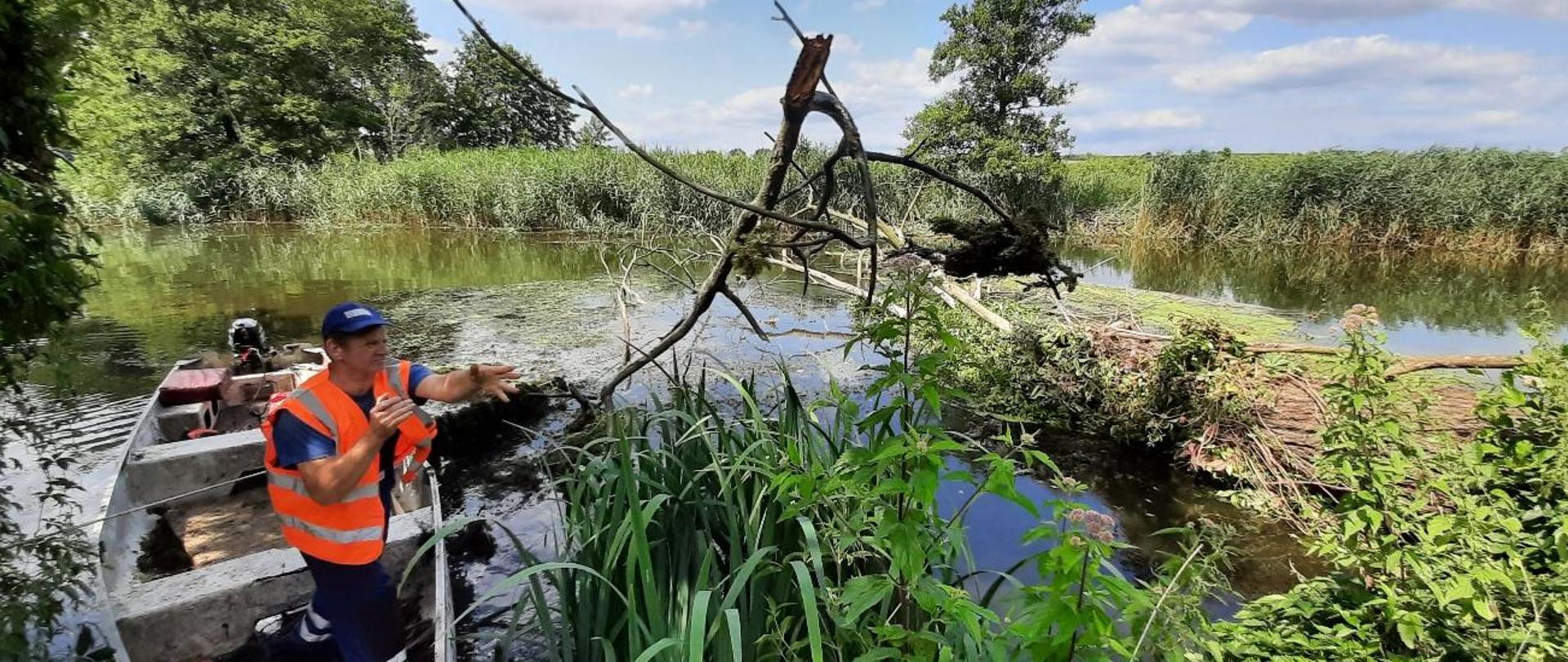 Usuwanie wiatrołomów na odcinku w obrębie Noteci górnej 