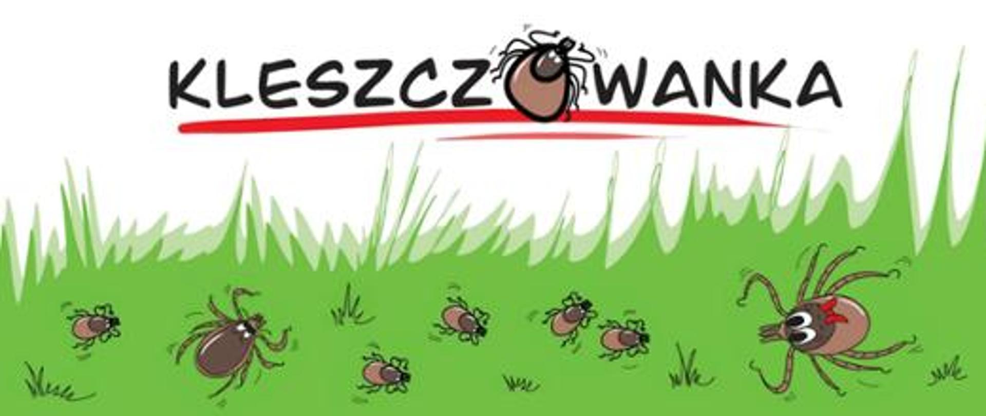 Na zielonej trawce kleszcze. Nad trawką białe tło i czarny napis kleszczowanka