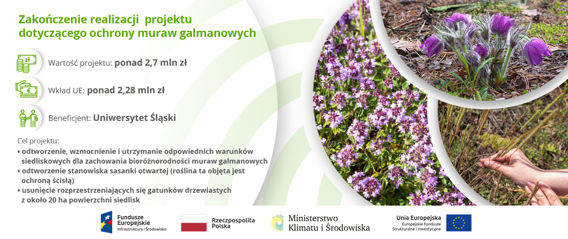Zakończenie realizacji projektu pn.: „Dobre praktyki dla wzmacniania bioróżnorodności i aktywnej ochrony muraw galmanowych rejonu śląsko-krakowskiego BioGalmany”