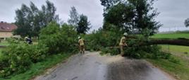 Kolejna pracowita doba strażaków – 29 interwencji w powiecie ostródzkim