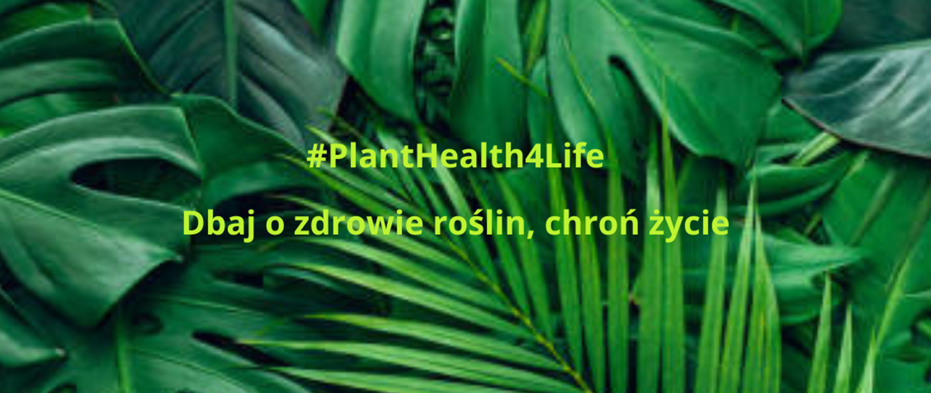 zdjęcie zielonych liści i napis #PlantHealth4Life Dbaj o zdrowie roślin, chroń życie