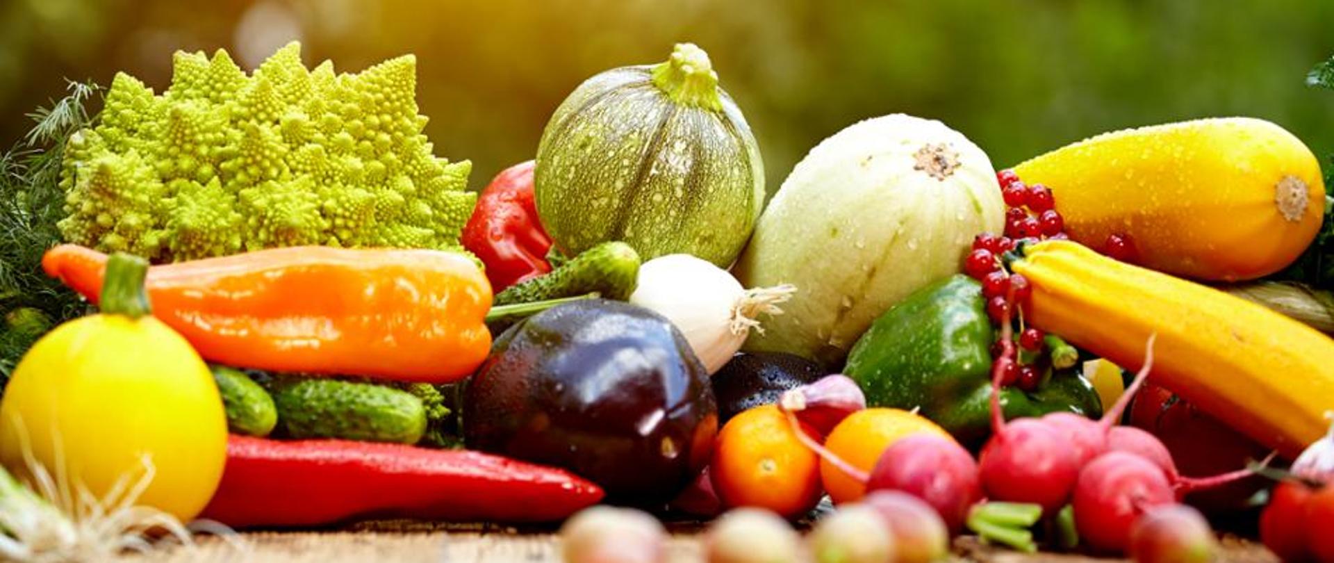 na zdjeciu przedstawione są warzywa i owoce miedzy innymi papryka, rzodkiewki, cukinie, bakłarzan, ogórki, czosnek, por