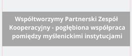 Współtworzymy Partnerski Zespół Kooperacyjny_4