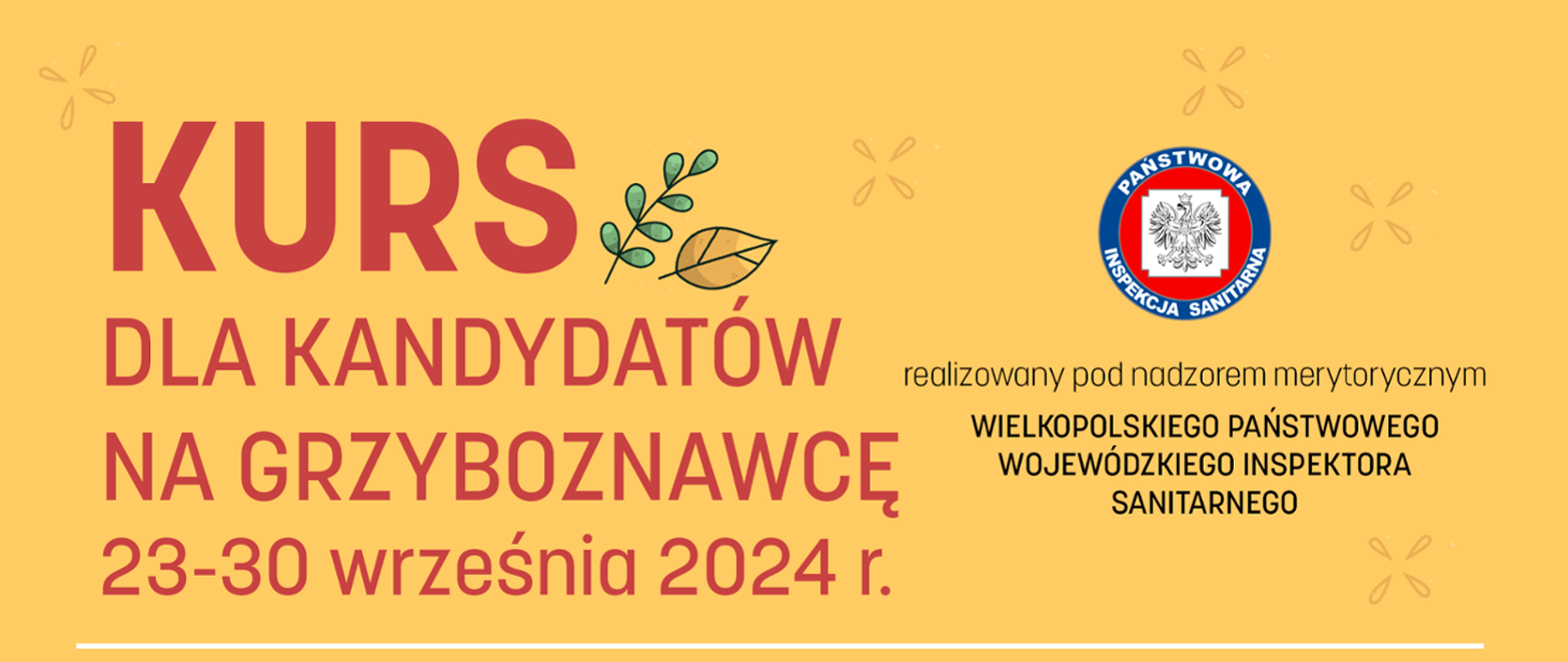 KURS NA GRZYBOZNAWCĘ