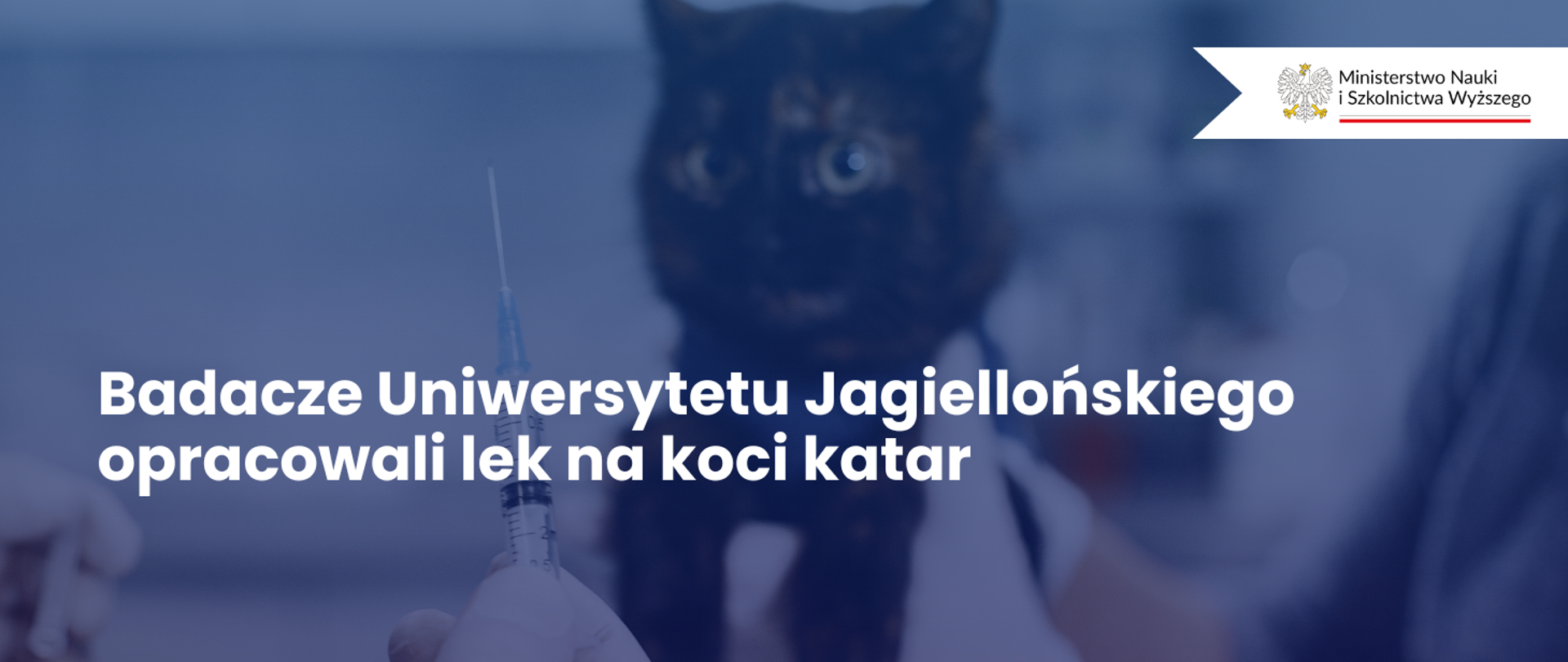 Grafika - na ciemnoniebieskim tle kot, obok napis Badacze Uniwersytetu Jagiellońskiego opracowali lek na koci katar.