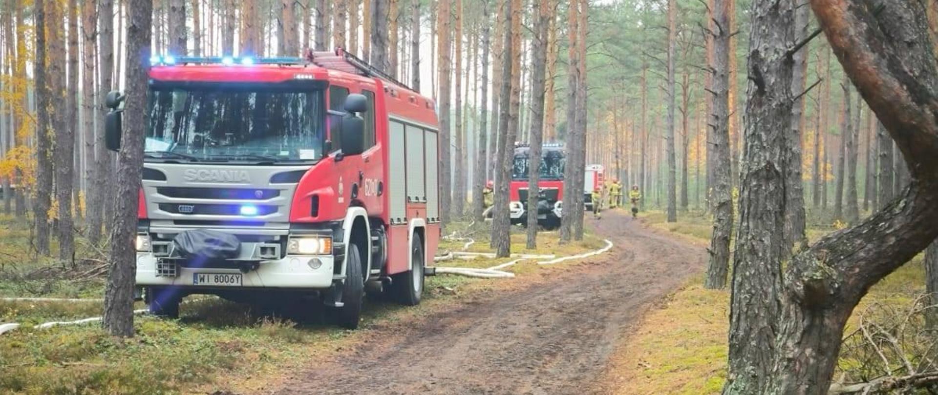 Samochody strażackie ustawione wzdłuż leśnej drogi