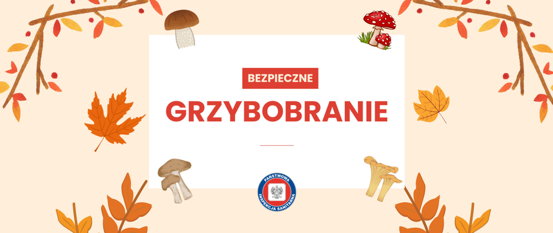 na zdjęciu jesienne liście porozrzucane a wśród nich grzyby - forma rysunku