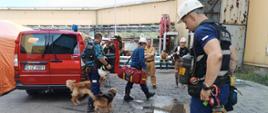 Strażacy z psami specjalistycznymi przygotowanymi do poszukiwań przygotowują się do akcji