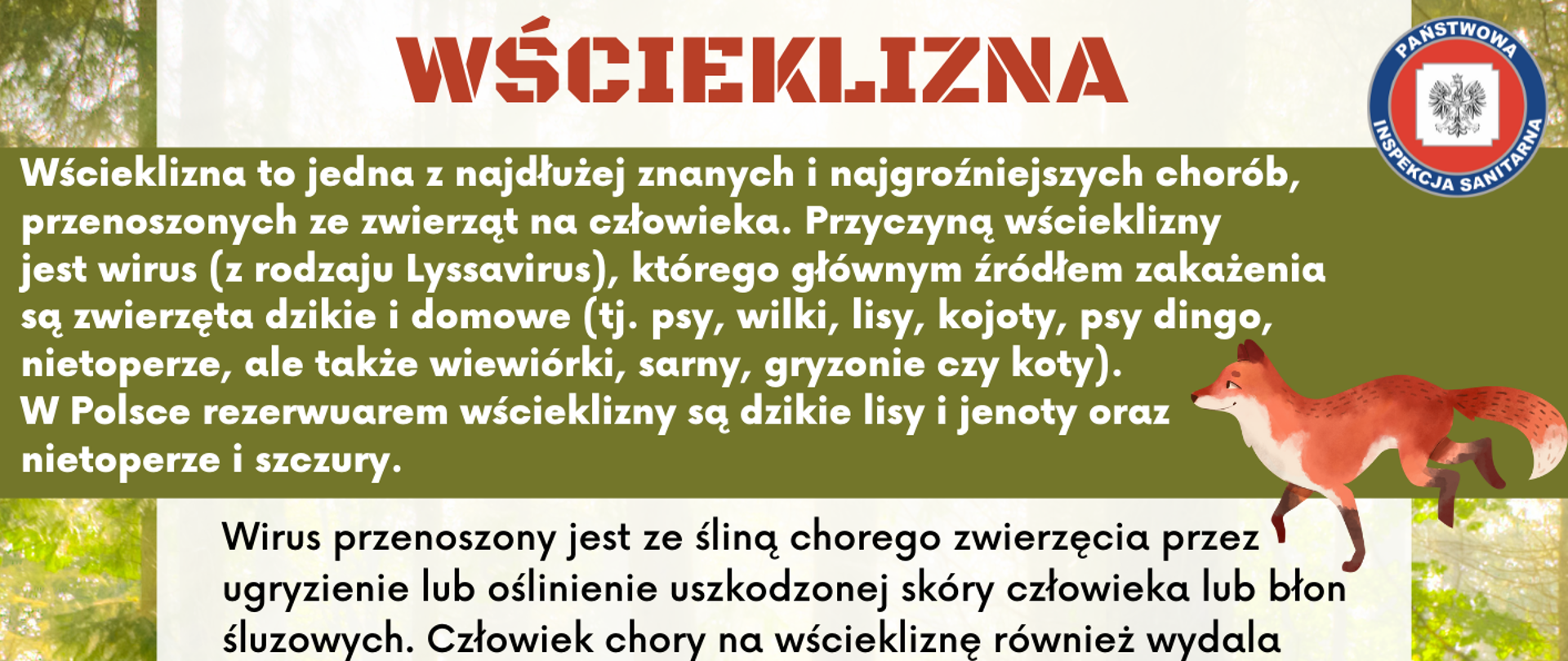 wscieklizna1