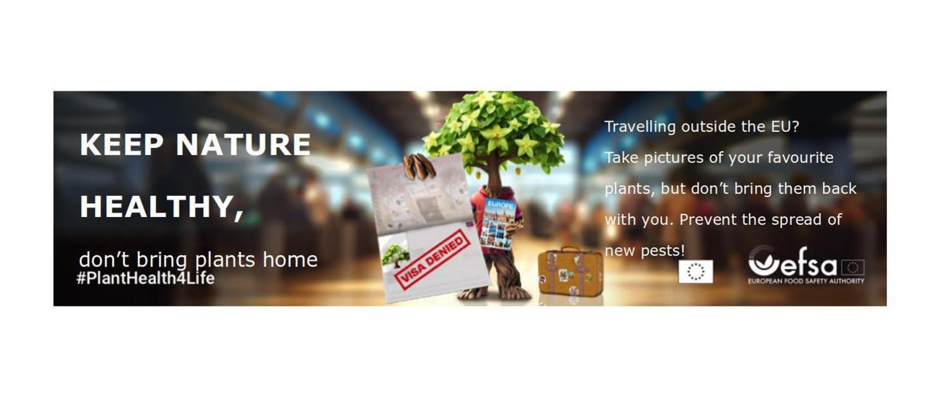 figura drzewa trzymająca kartkę z napisem visa denied i folder z biura podróży obok którego stoi walizka. 