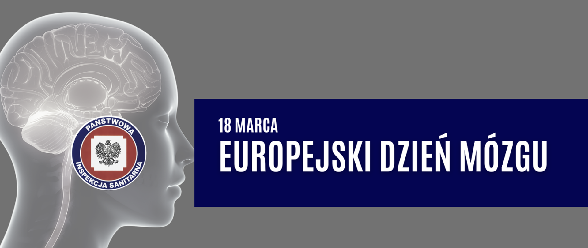 europejski dzień mózgu