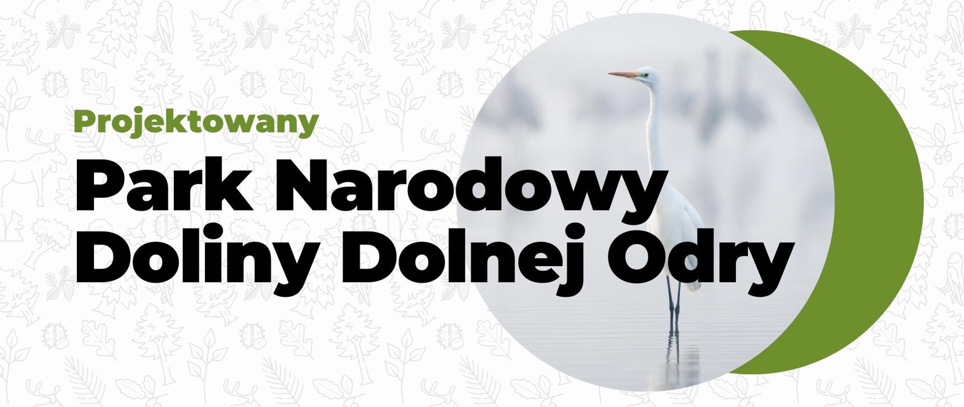 Tworzymy nowy park - projektowany Park Narodowy Doliny Dolnej Odry