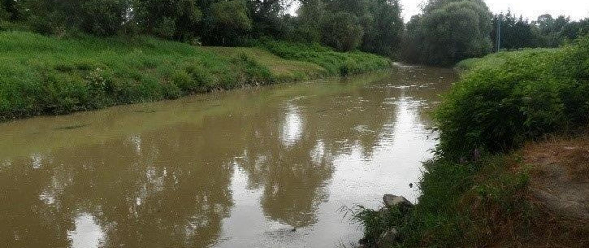 Widok na rzekę Wisłok w Krośnie