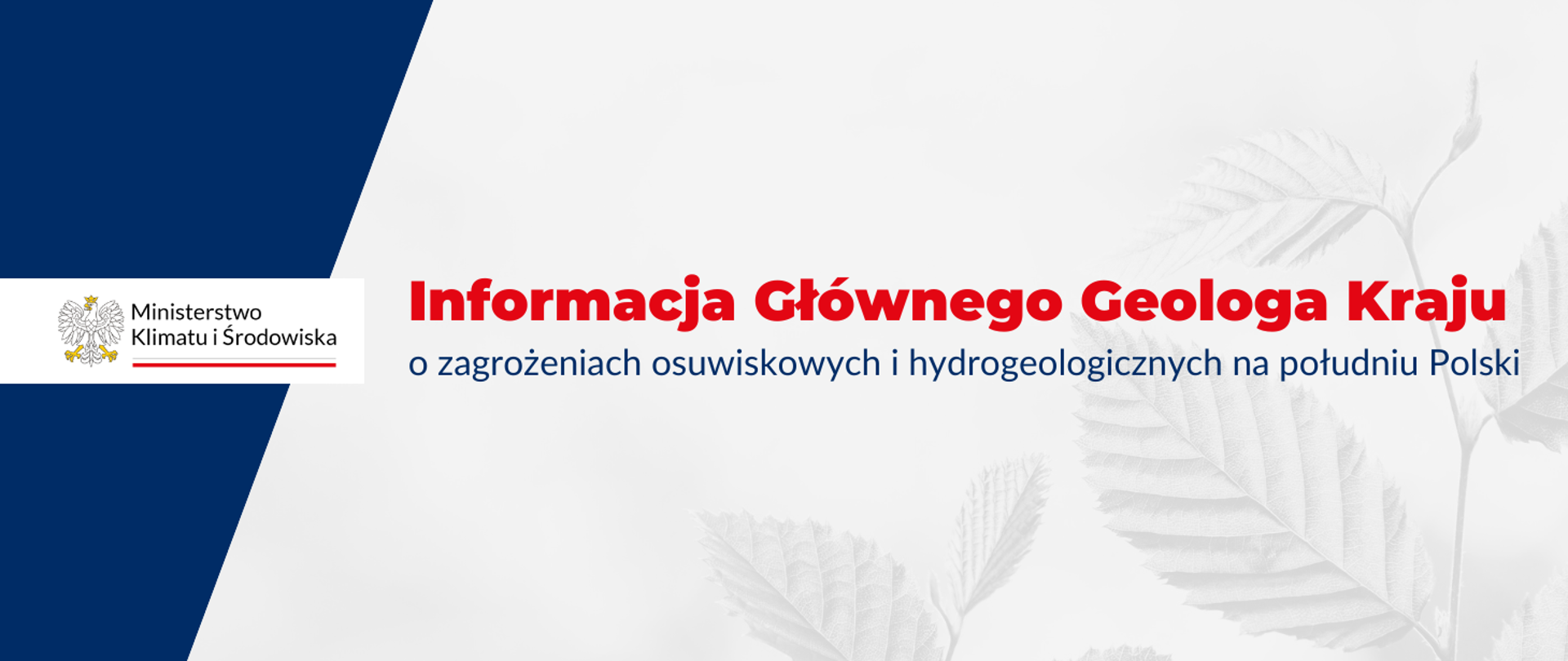 Informacja Głównego Geologa Kraju