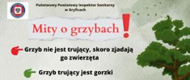 Mity o grzybach