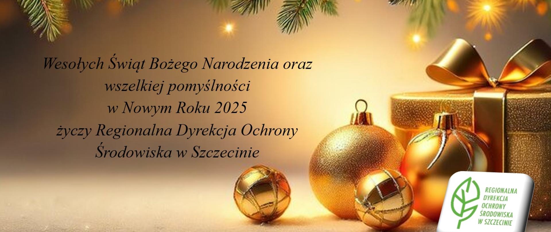 Wesołych Świąt Bożego Narodzenia 2024 r.