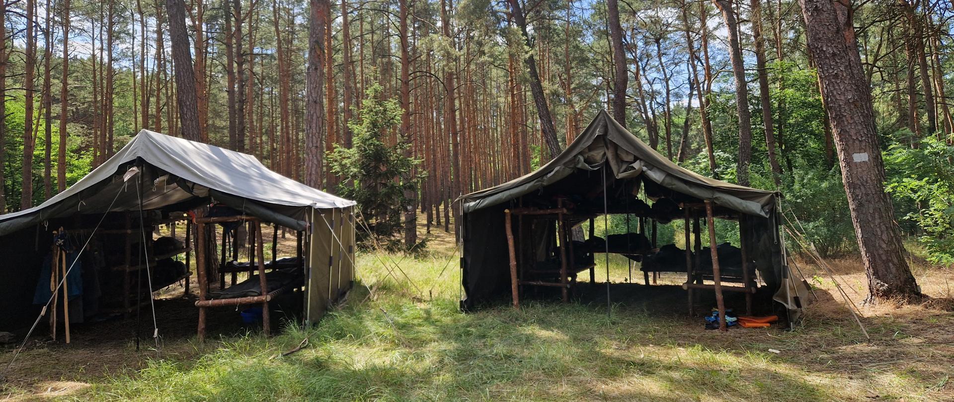 Zdjęcie przedstawia 2 namioty harcerskie znajdujące się wśród drzew iglastych w lesie.
