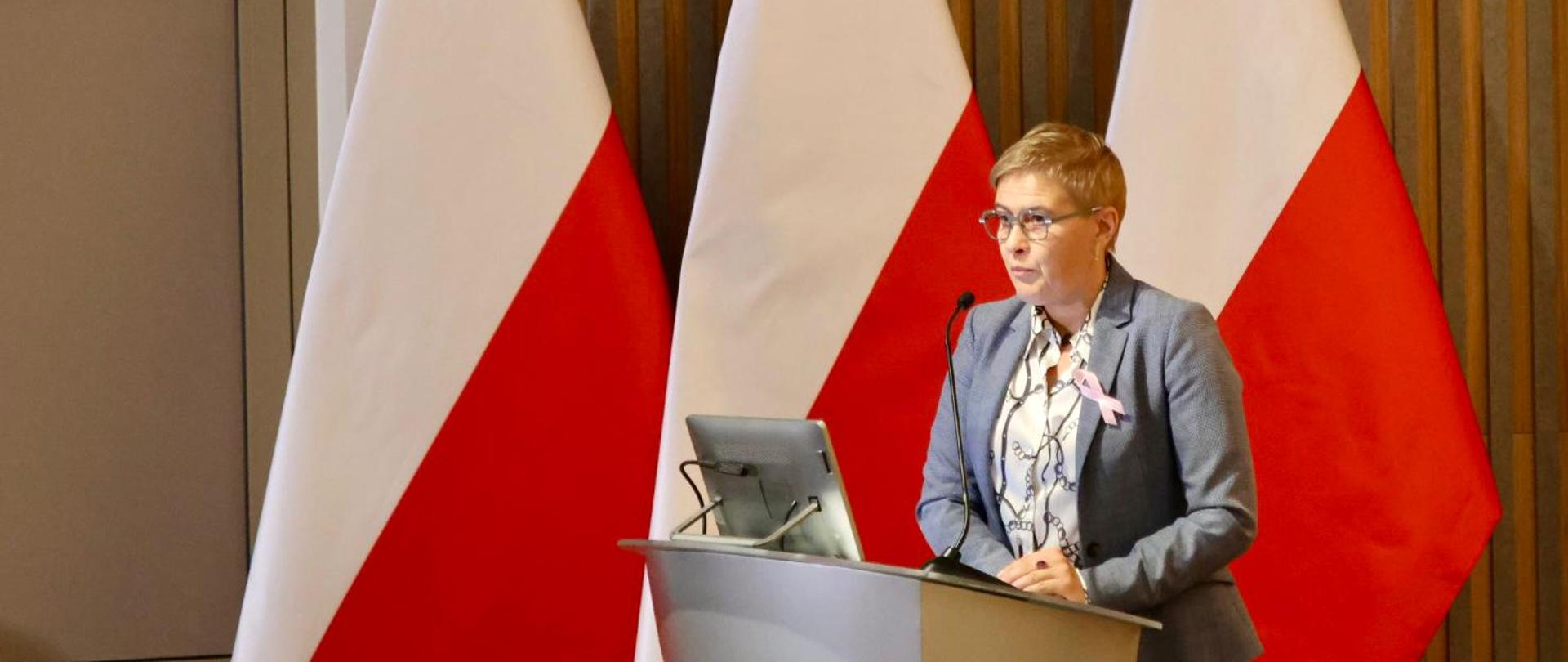 Za mównicą stoi wiceminister Mrówczyńska i mówi do mikrofonu, za nią pod wyłożoną drewnianymi listwami ścianą trzy polskie flagi.