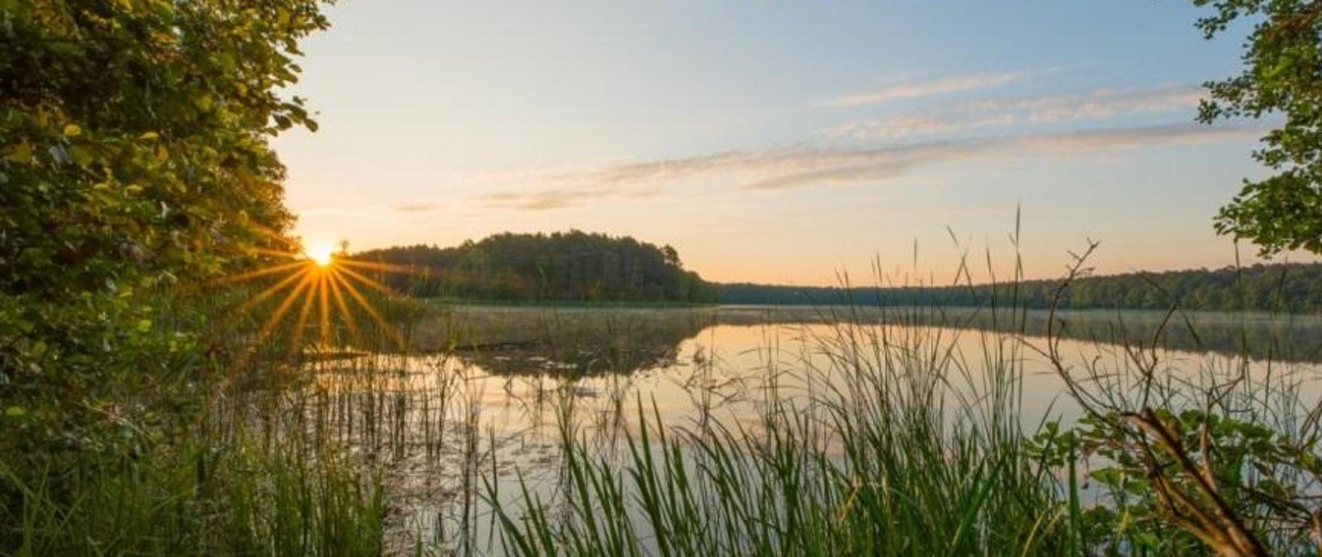 Jezioro Gościąż z wąskim pasem szuwaru pałki wąskolistnej wzdłuż linii brzegowej, na pierwszym planie szuwary, w tle zachód słońca