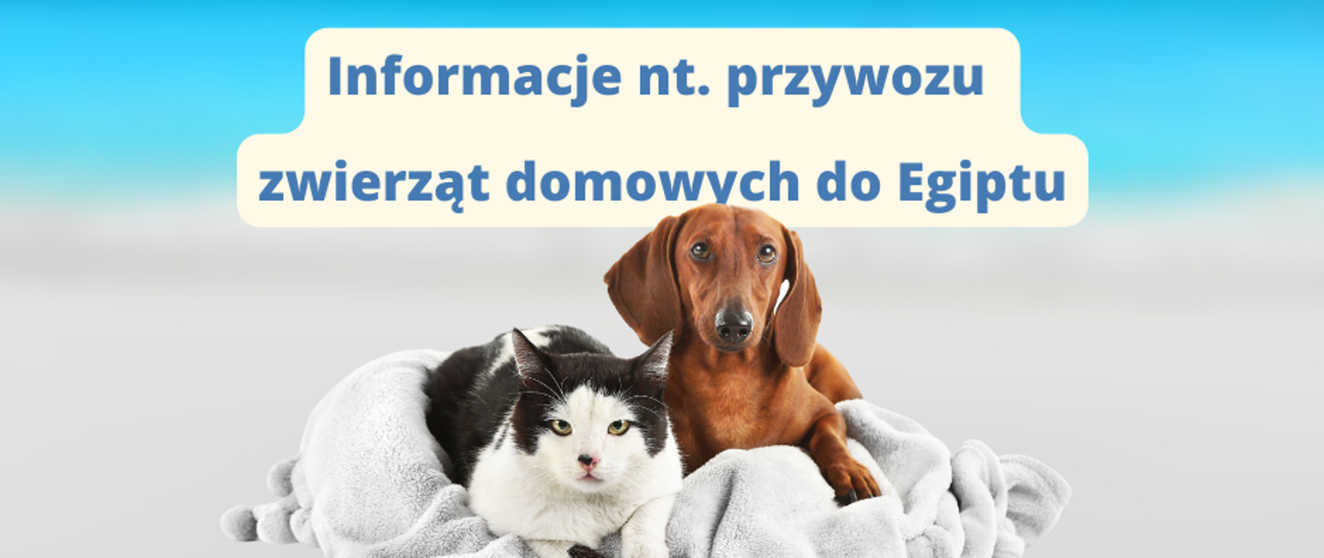 Podróż ze zwierzętami