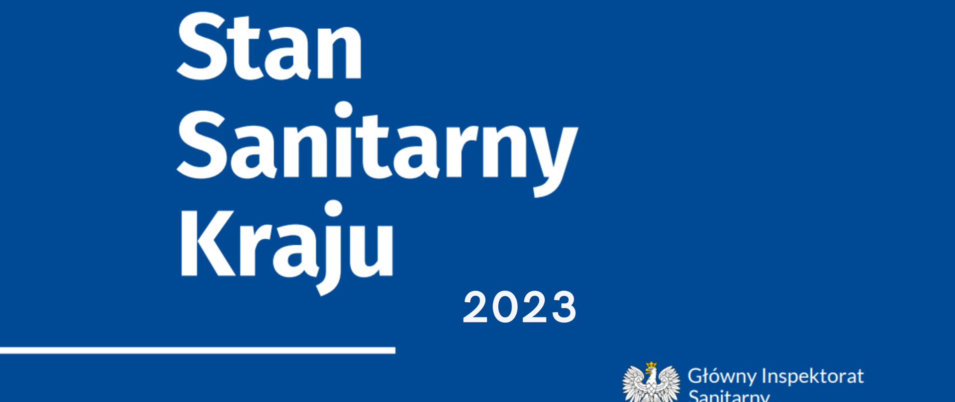 Stan Sanitarny Kraju w 2023roku