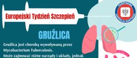 Grużlica