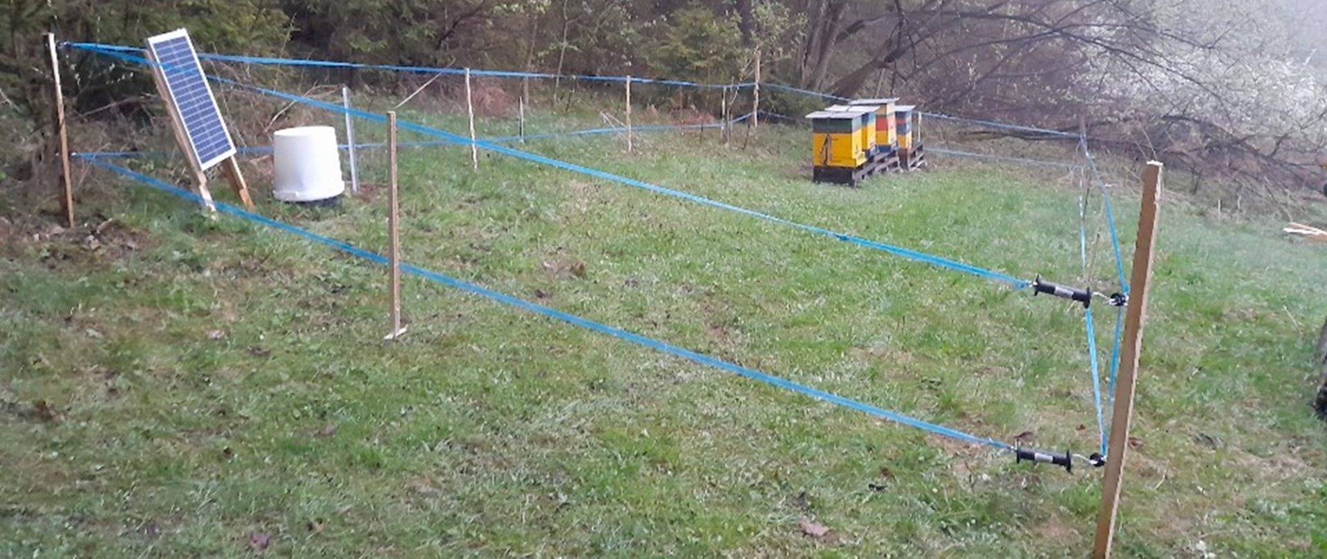 Zdjęcie prezentuje widok na kilka uli otoczonych ogrodzeniem z pastucha elektrycznego. Obok znajduje się panel fotowoltaiczny zasilający pastuch oraz ściana lasu.