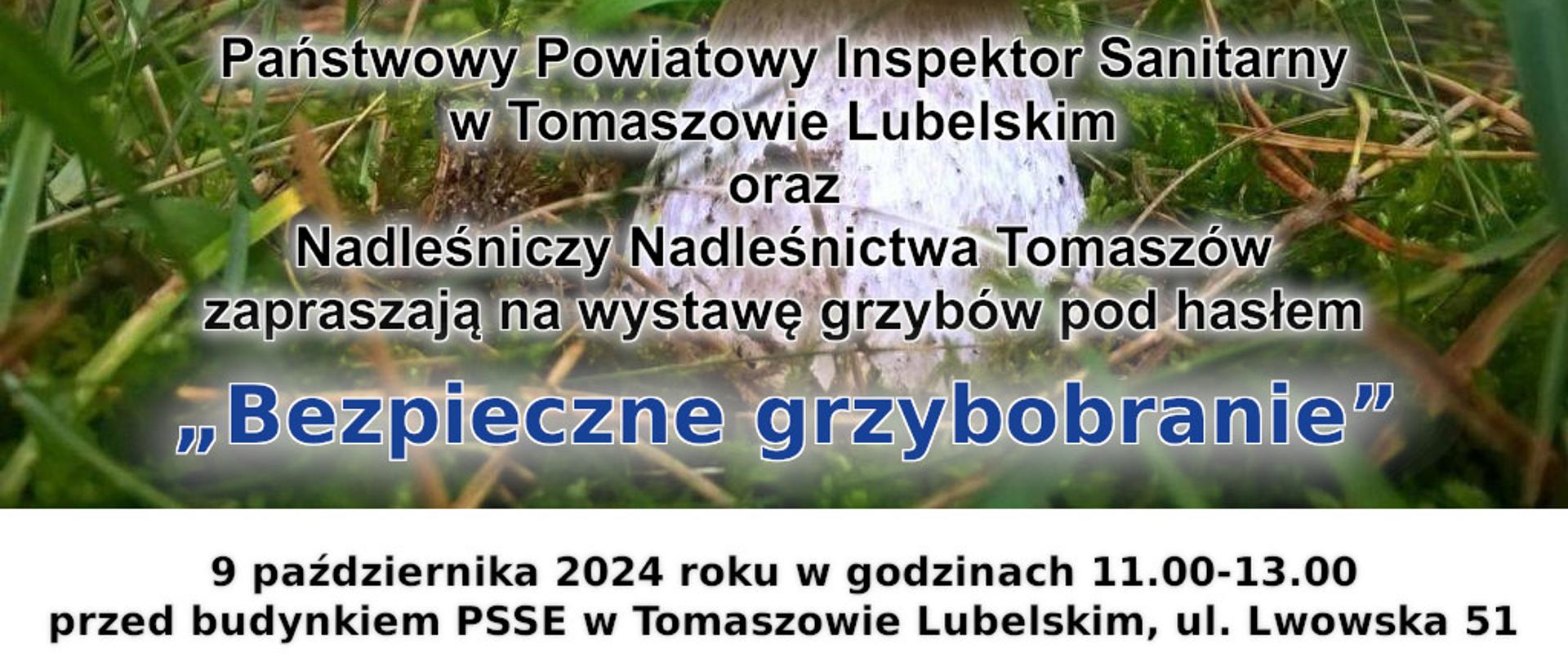 Plakat przedstawiający grzyba wśród zieleni oraz tekst zaproszenia na wystawę grzybów