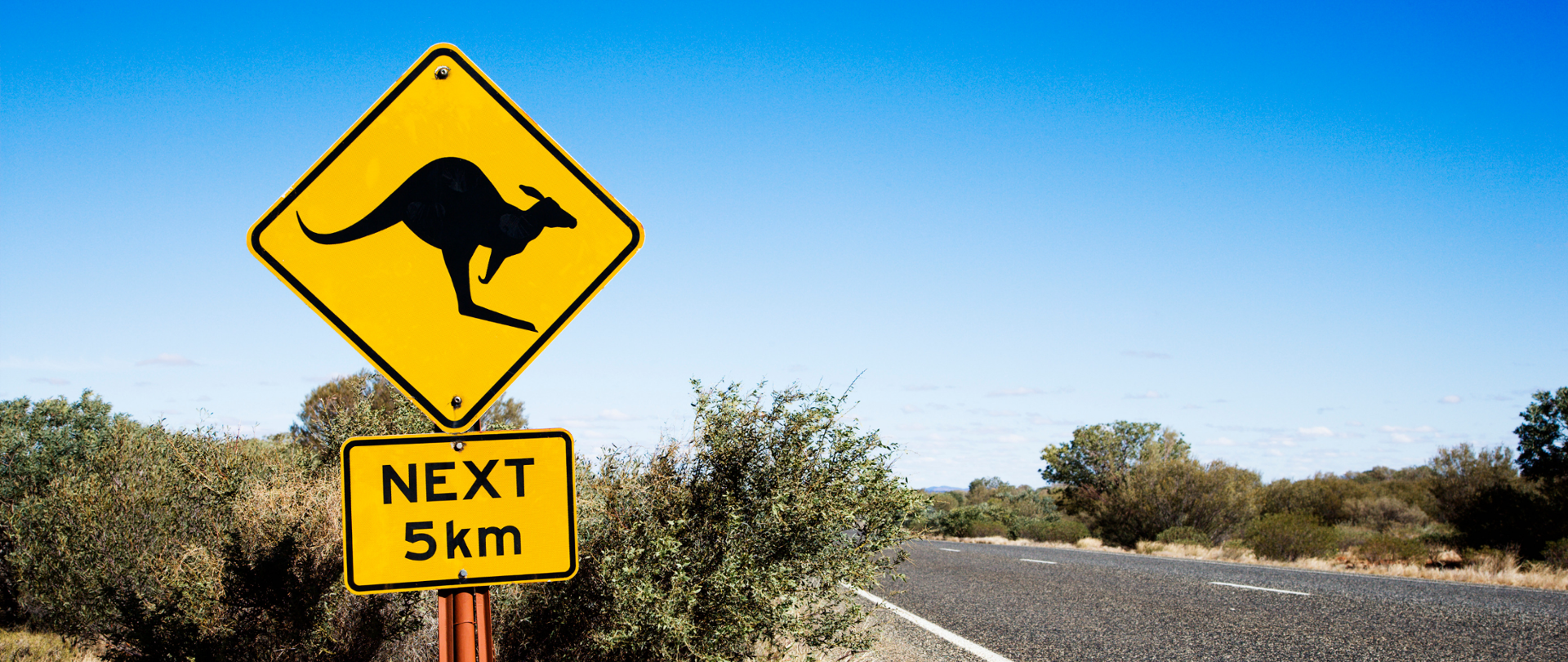 Znak drogowy z kangurem