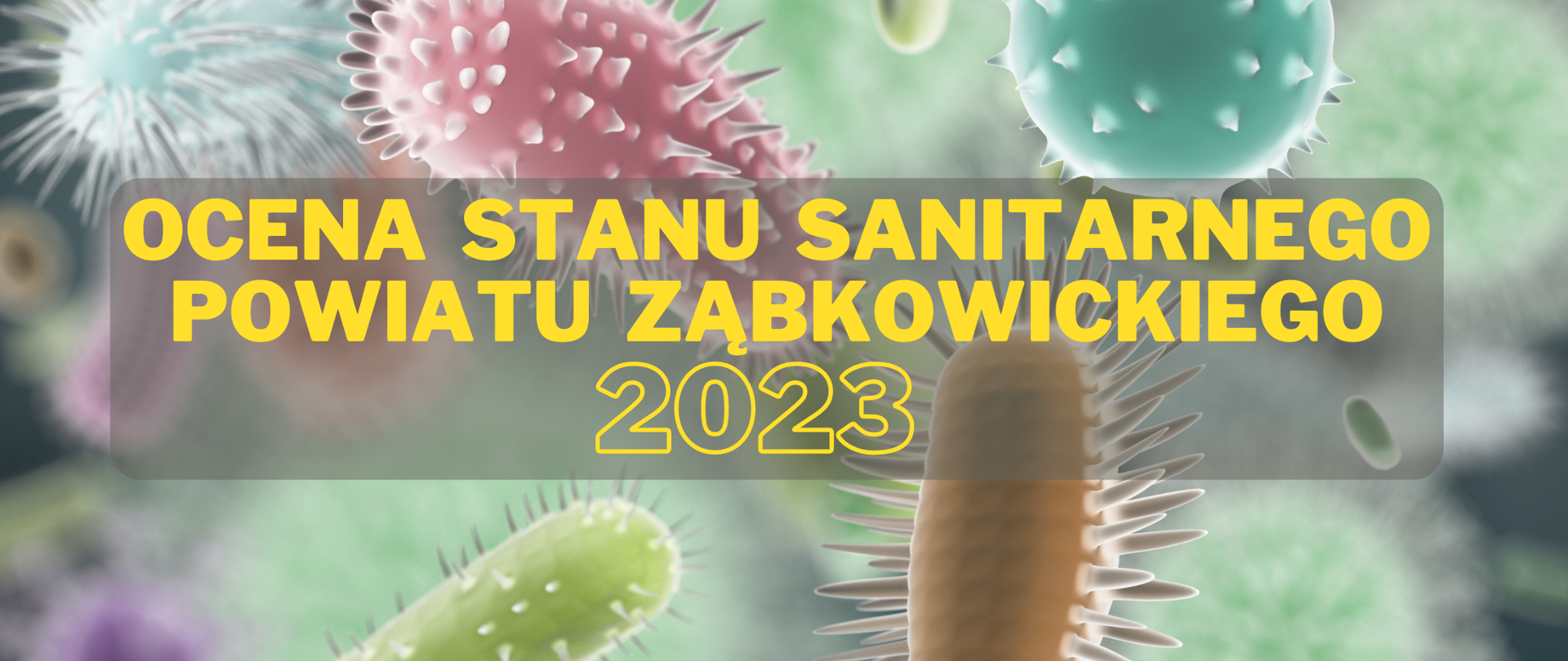 Ocena stanu sanitarnego powiatu ząbkowickiego za 2023 rok