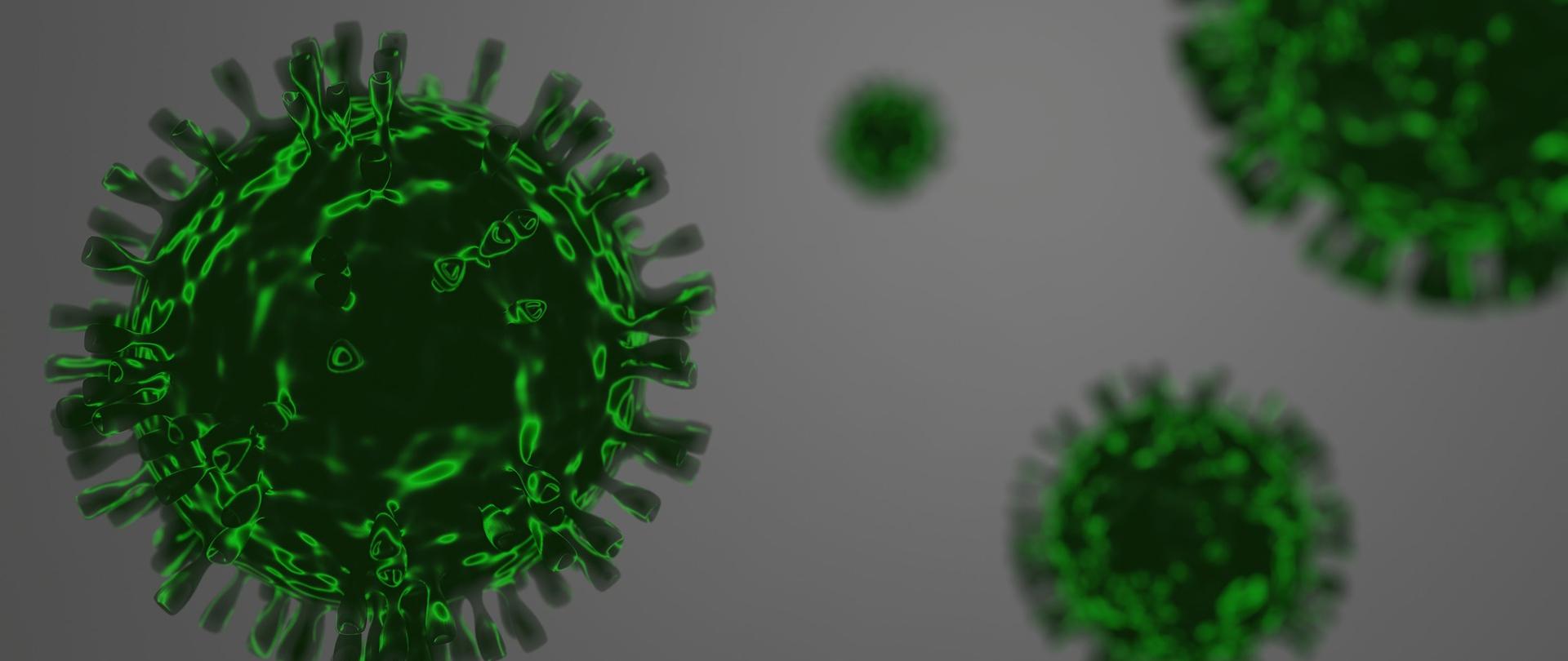 zielona grafika wirusów