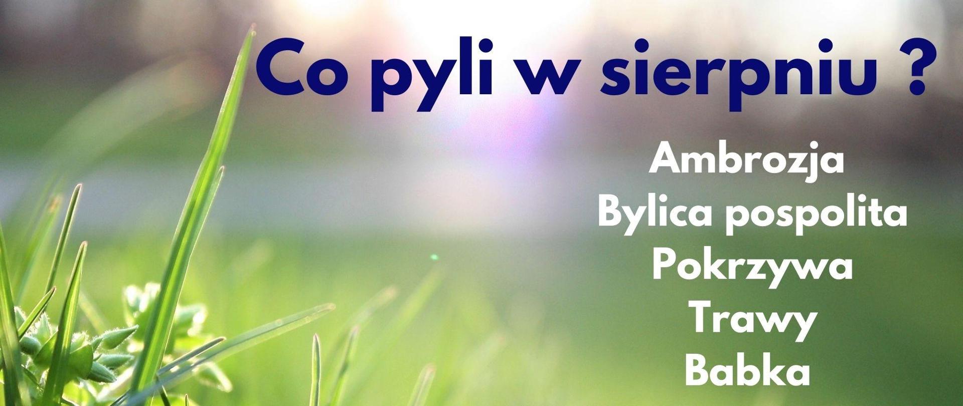 Co pyli w sierpniu ?